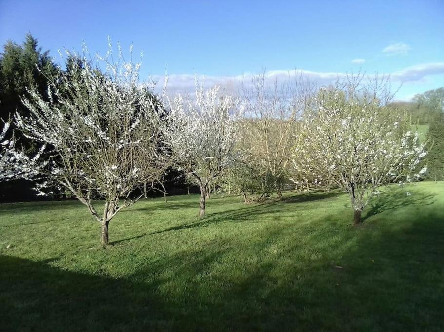 Dependance Pour 1 A 4 Pers Au Calme Dans Propriete Villa Marboz ภายนอก รูปภาพ