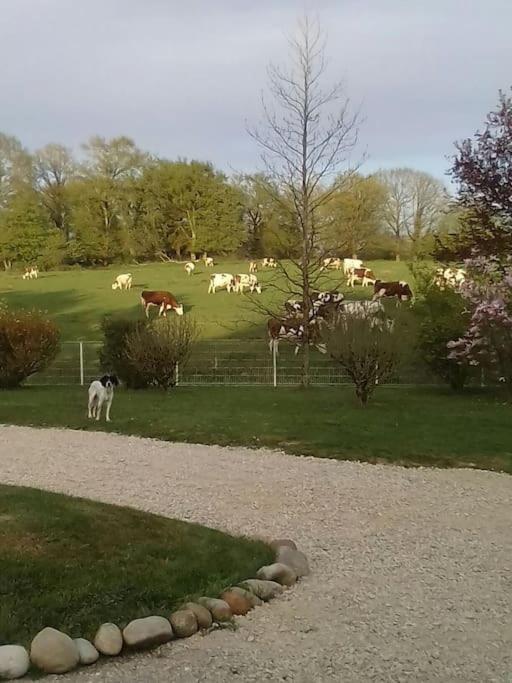 Dependance Pour 1 A 4 Pers Au Calme Dans Propriete Villa Marboz ภายนอก รูปภาพ